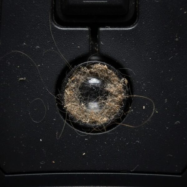 マウスのカーソルが飛ぶ不調の主な原因である、光学式センサーのレンズにびっしりと付着したホコリや髪の毛。マクロ撮影で汚れを強調し、定期的な掃除の必要性を示す。